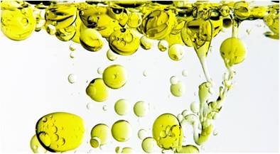 MCT Oils